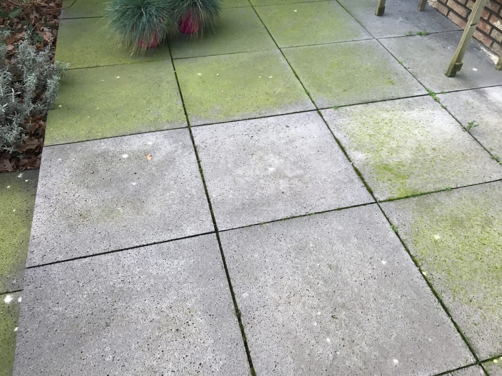 Beplanting