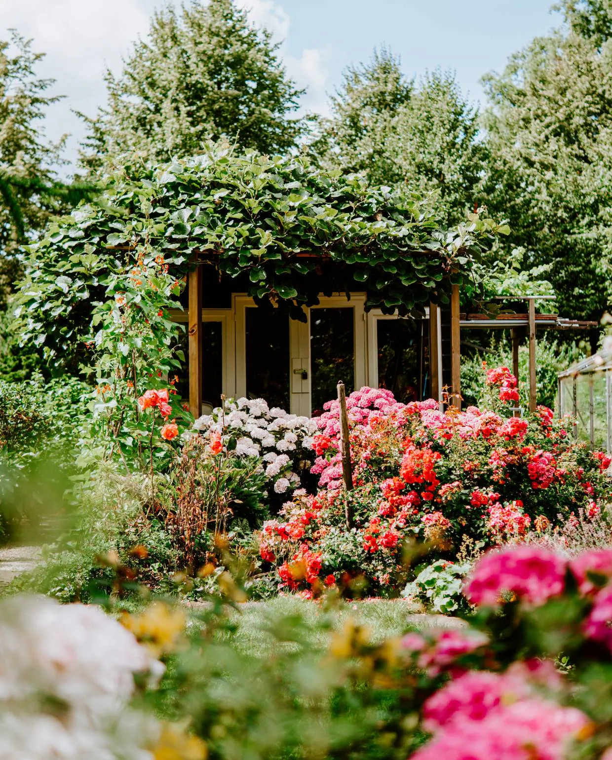 Natuurlijk tuinieren: biodiversiteit in je achtertuin — De Colm Hoveniers