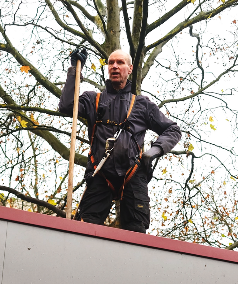 Verantwoord beheer van groen en publiek terrein